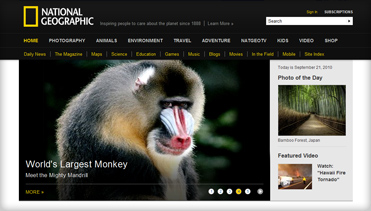 可视化平台的如何攻击网站